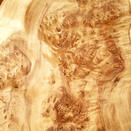 Cottonwood - Burl